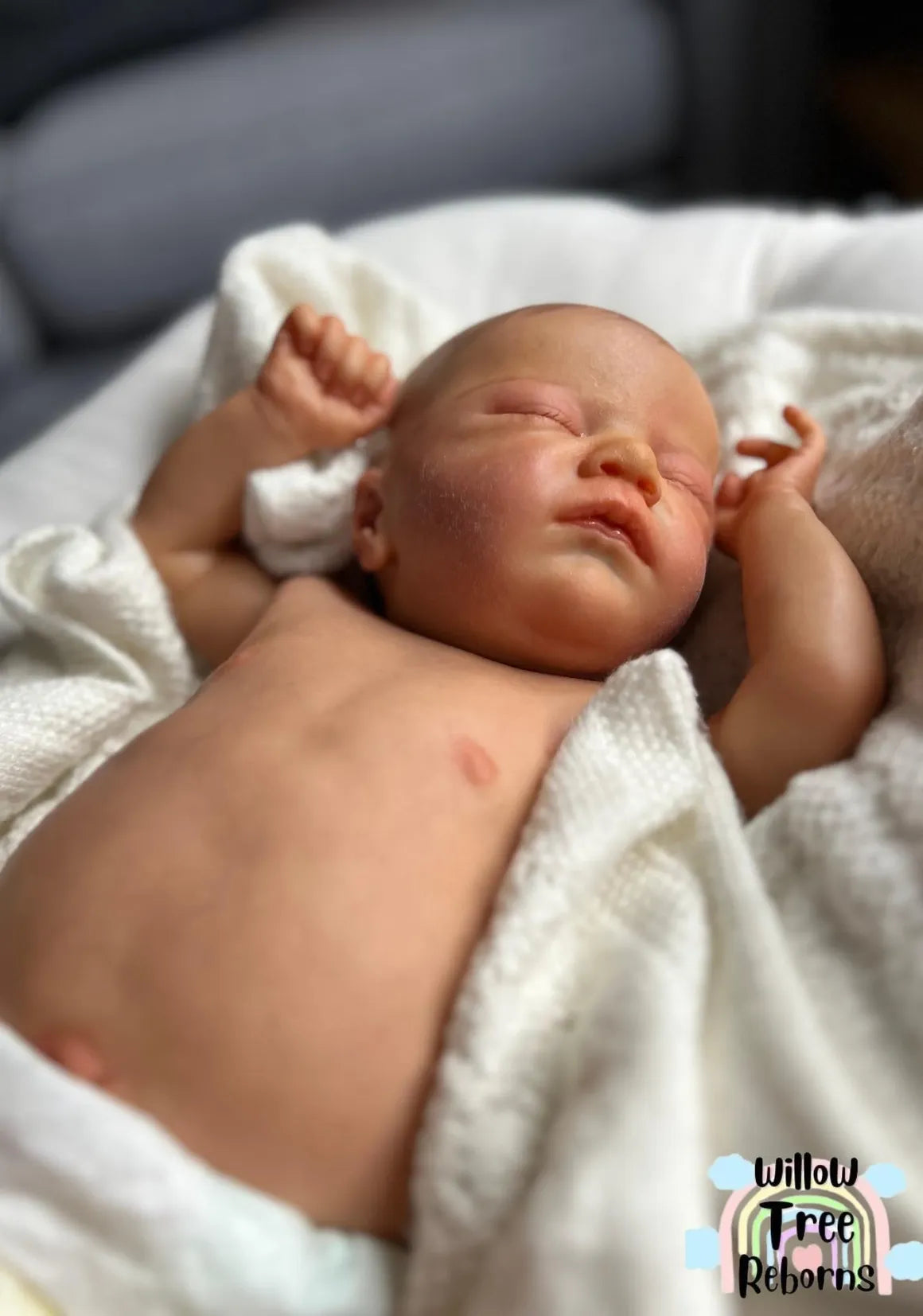 "Charlotte by Laura Lee Eagles"