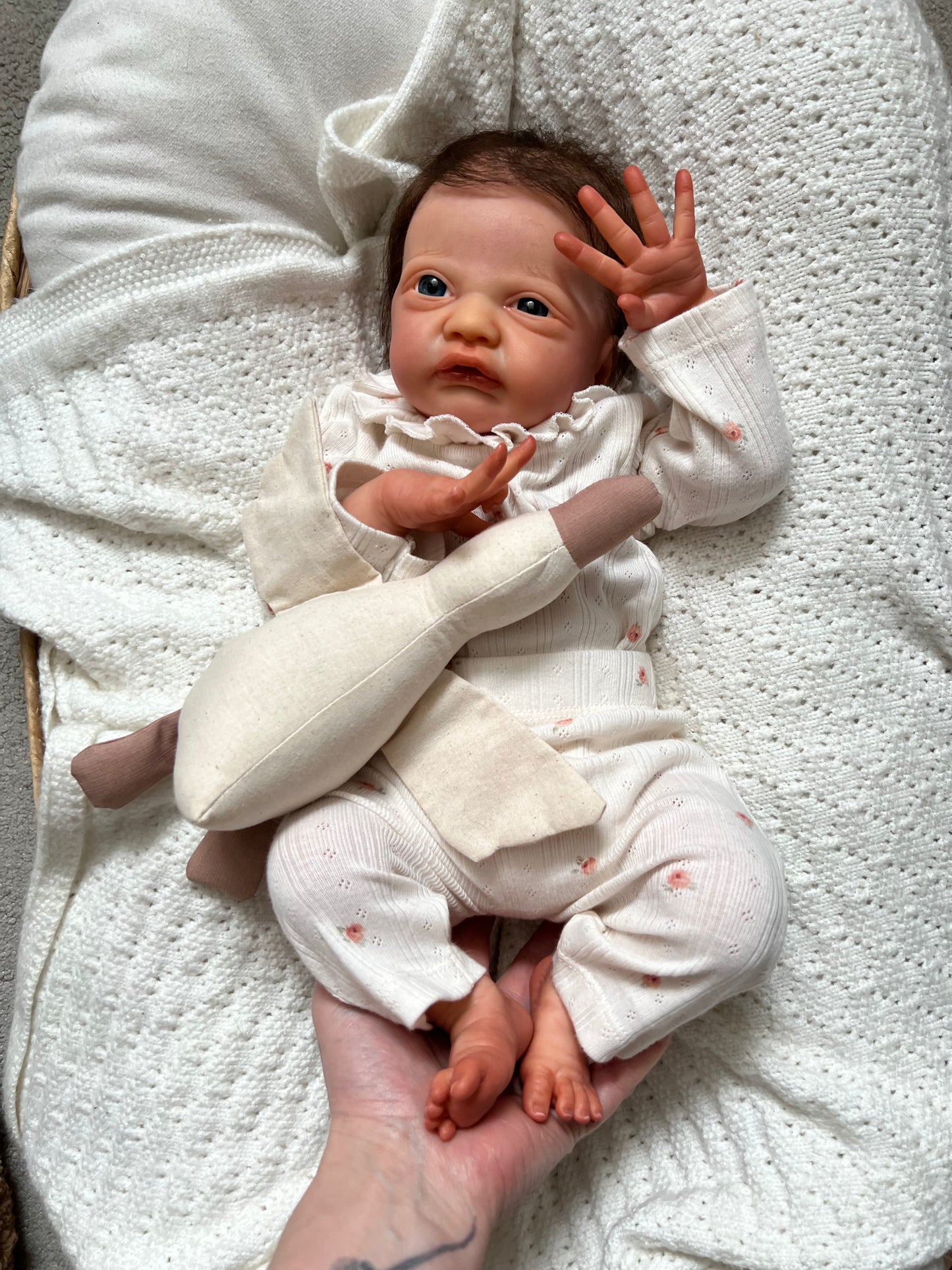 Gracie Mae first sight