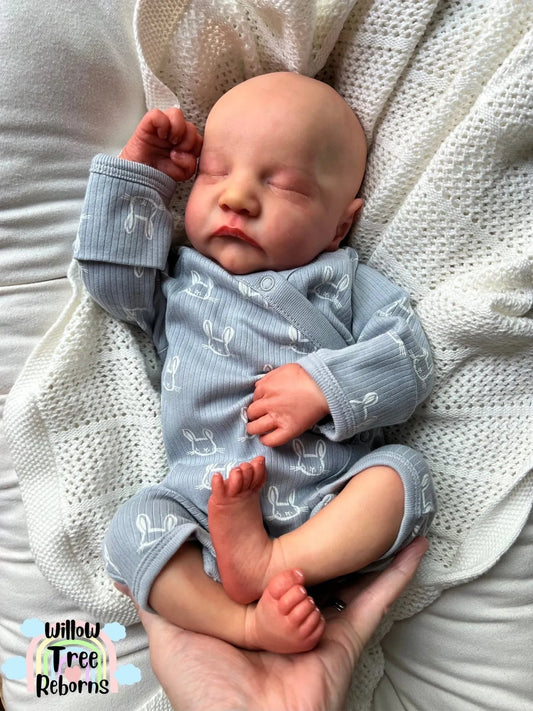 "Levi by Bonnie Brown"