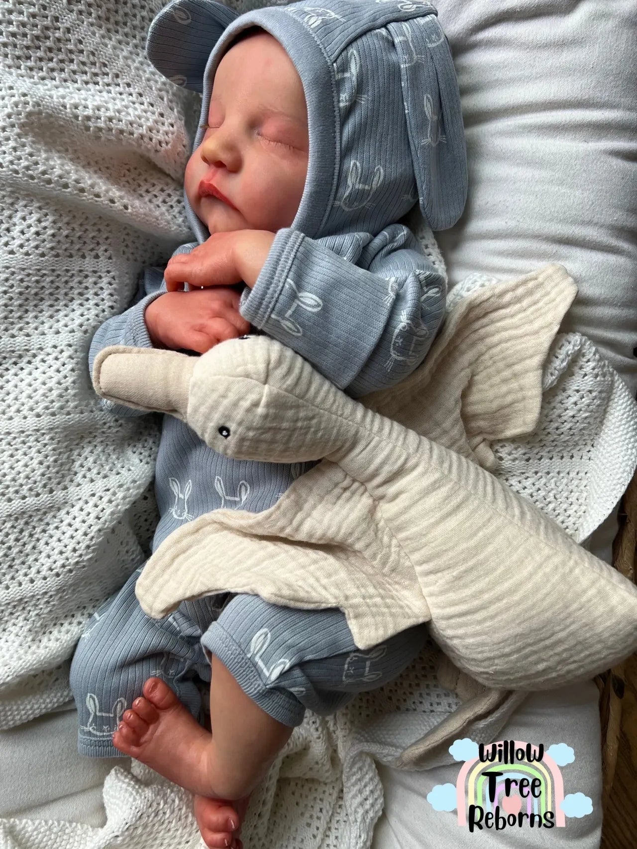 "Levi by Bonnie Brown"