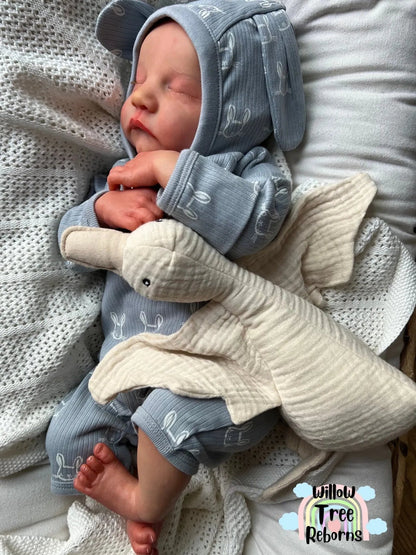 "Levi by Bonnie Brown"