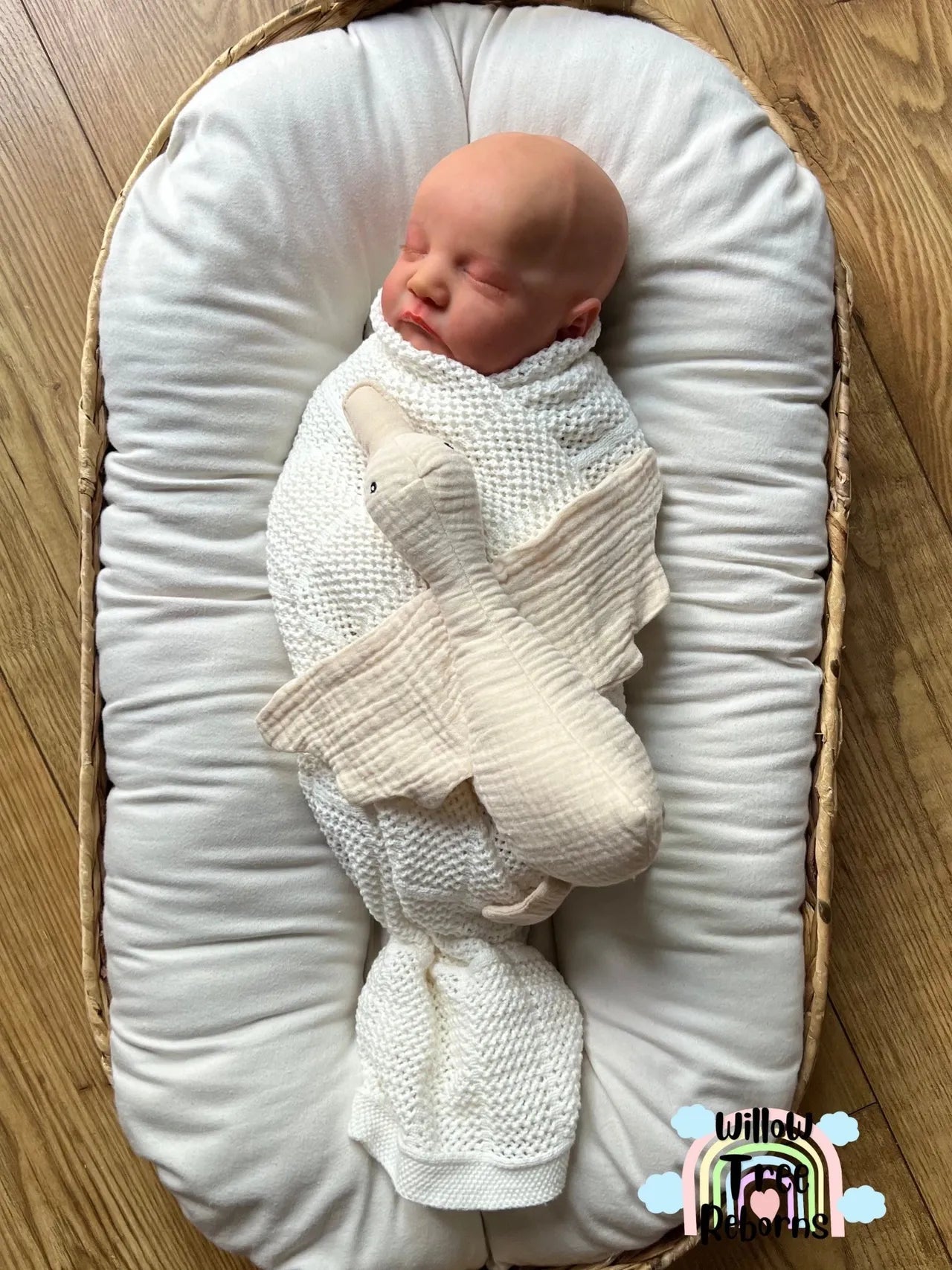 "Levi by Bonnie Brown"