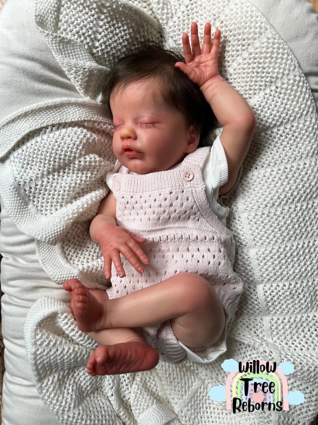 "Primrose Asleep by Laura Lee Eagles"