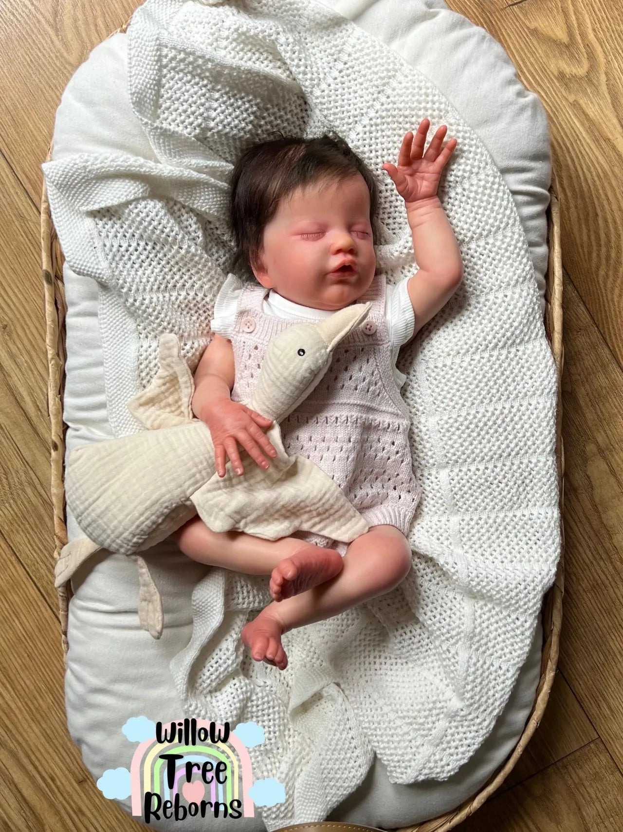 "Primrose Asleep by Laura Lee Eagles"