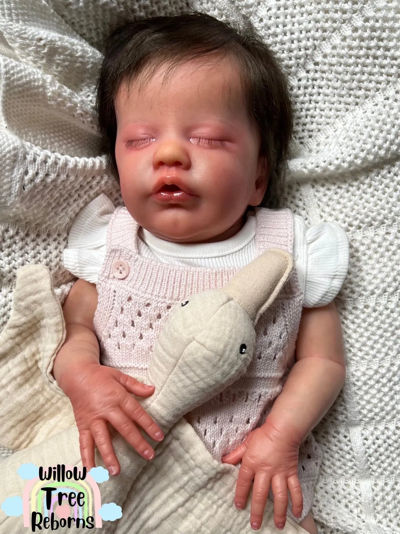 "Primrose Asleep by Laura Lee Eagles"