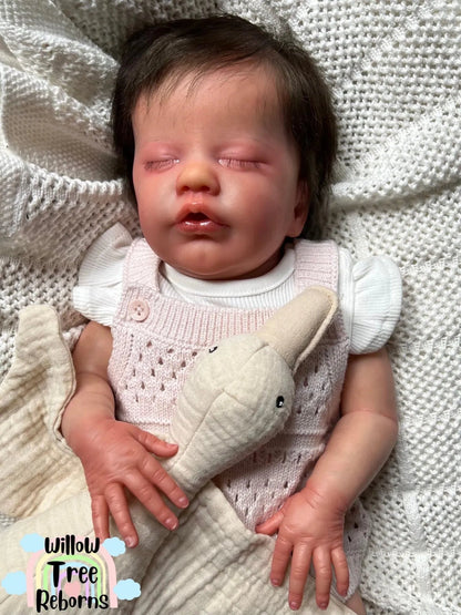 "Primrose Asleep by Laura Lee Eagles"