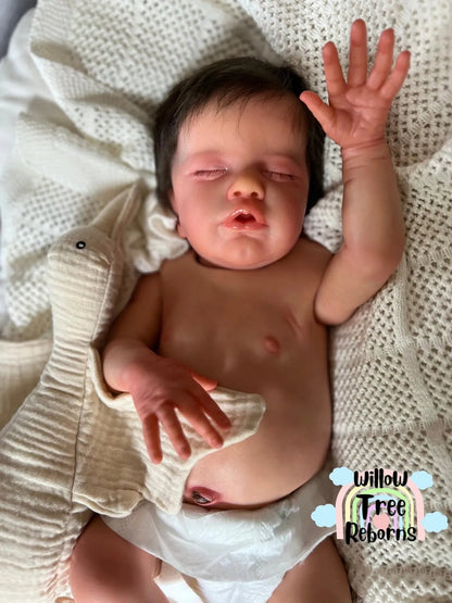 "Primrose Asleep by Laura Lee Eagles"