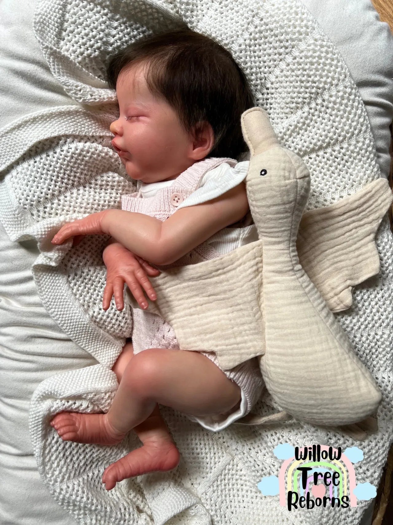 "Primrose Asleep by Laura Lee Eagles"