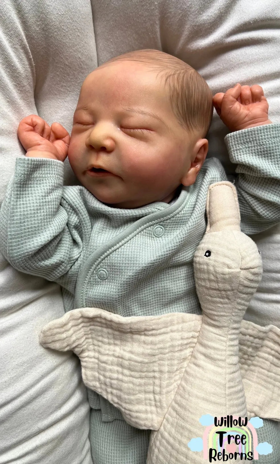 "Chase by Bonnie Brown"