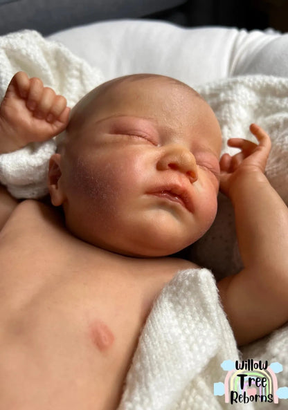 "Charlotte by Laura Lee Eagles"