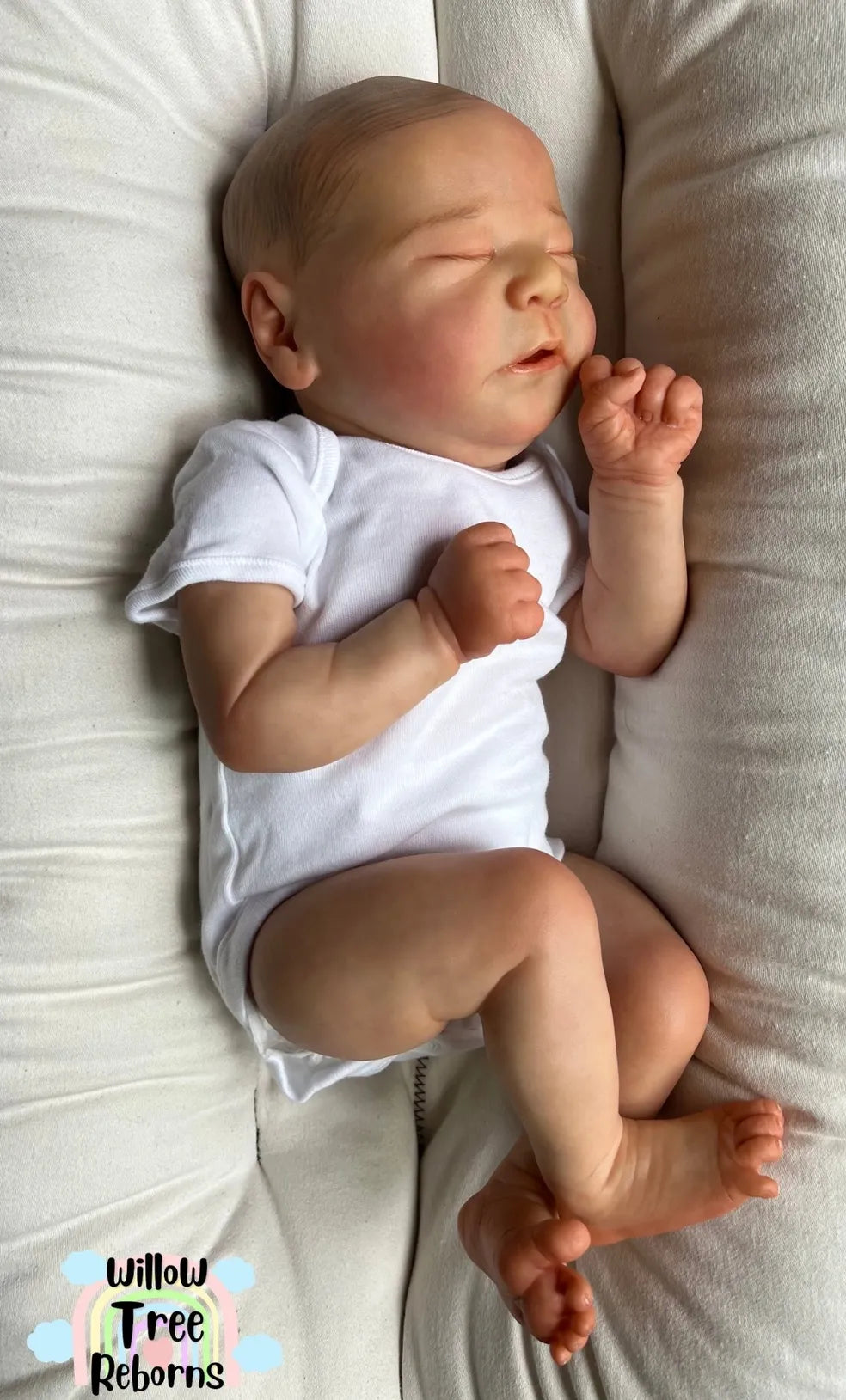 Chase by Bonnie Brown