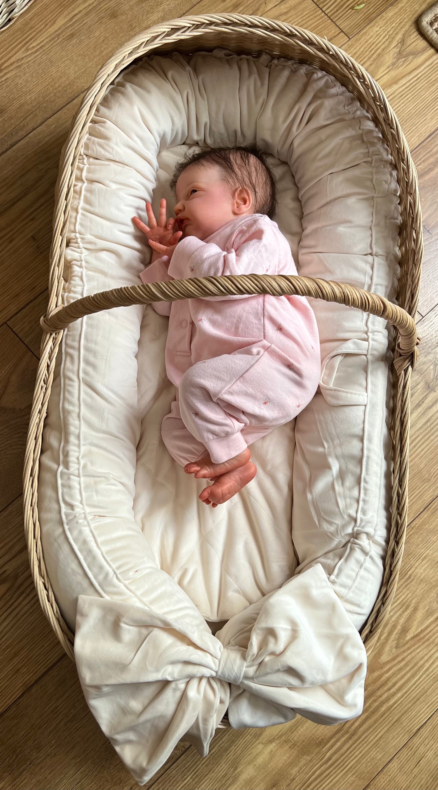 Gracie Mae – SPECIAL OFFER.