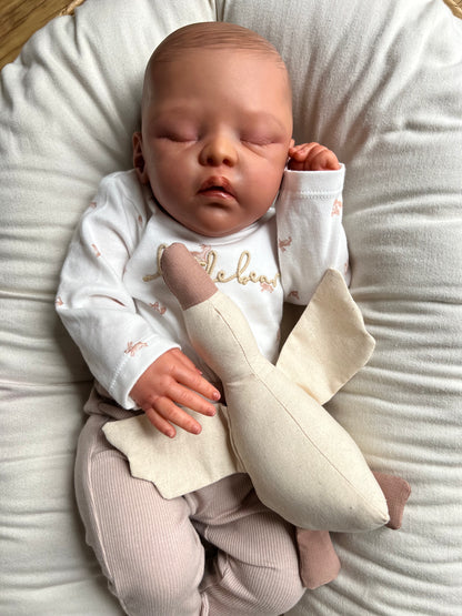 Little Bear by Beatriz Clemente