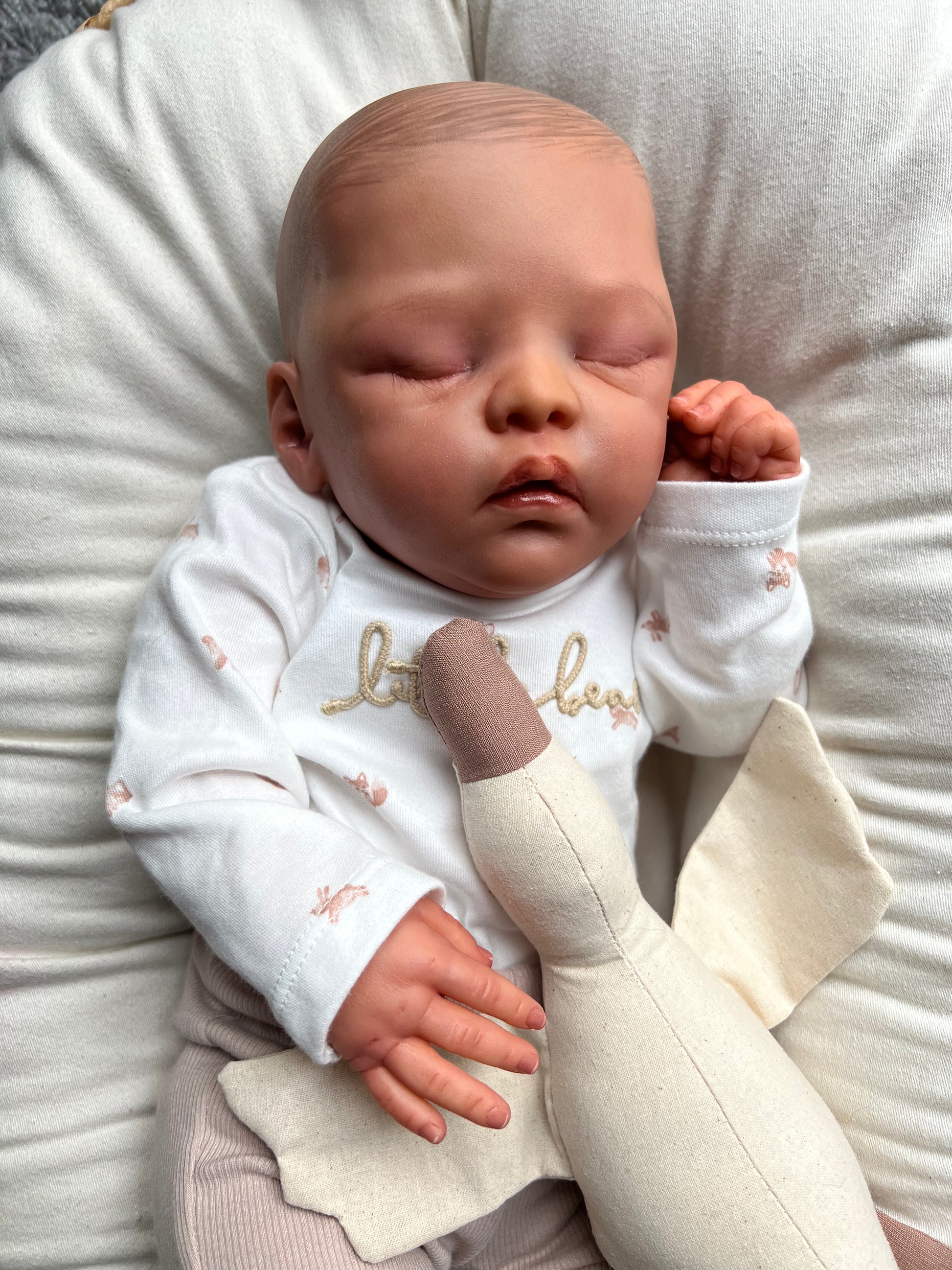 Little Bear by Beatriz Clemente