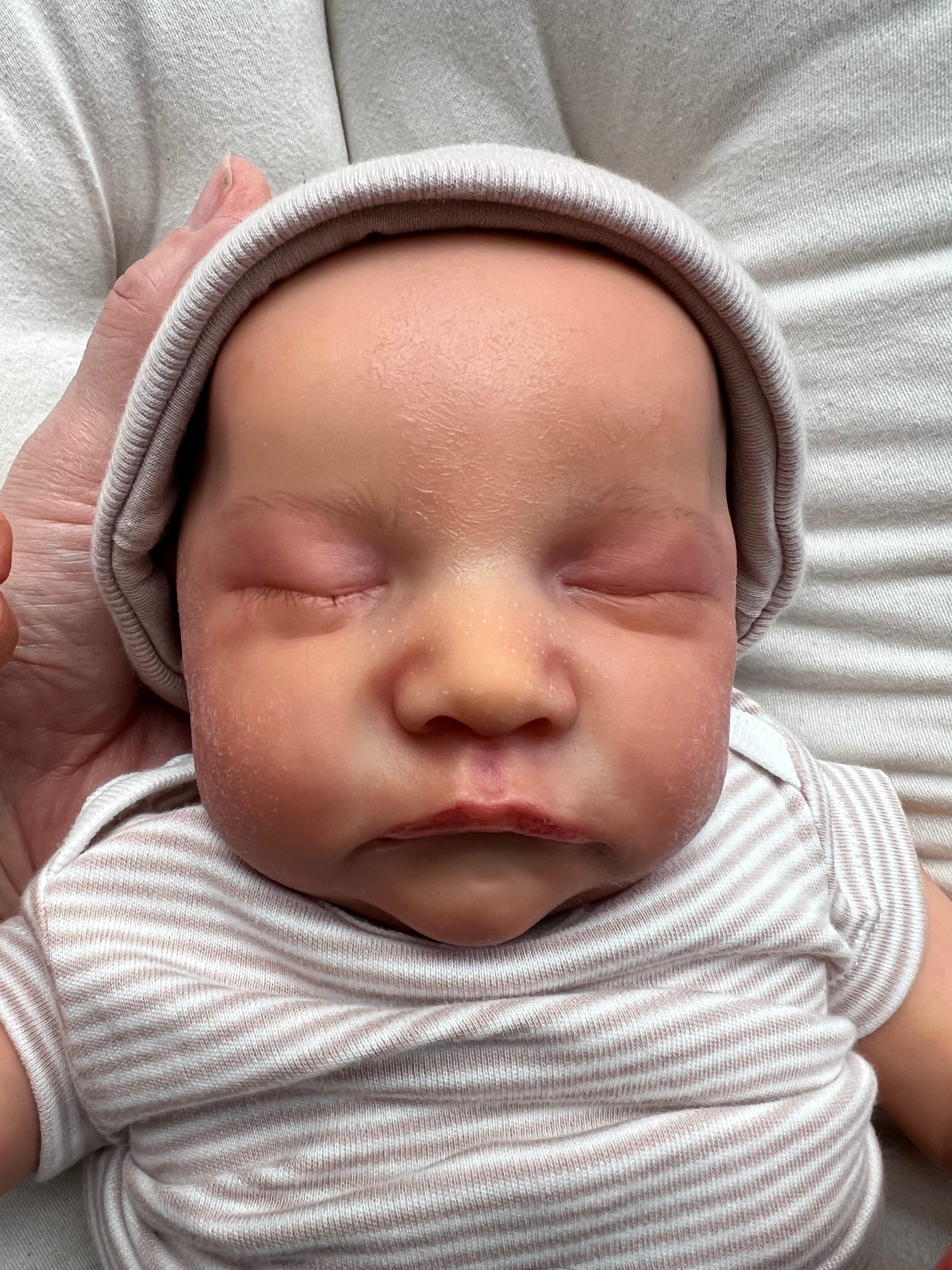 Levi by Bonnie Brown