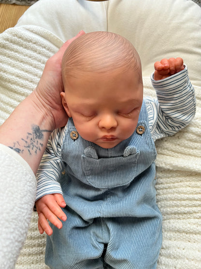 Little Bear by Beatriz Clemente