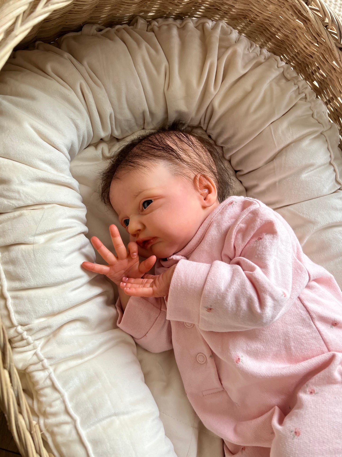 Gracie Mae – SPECIAL OFFER.