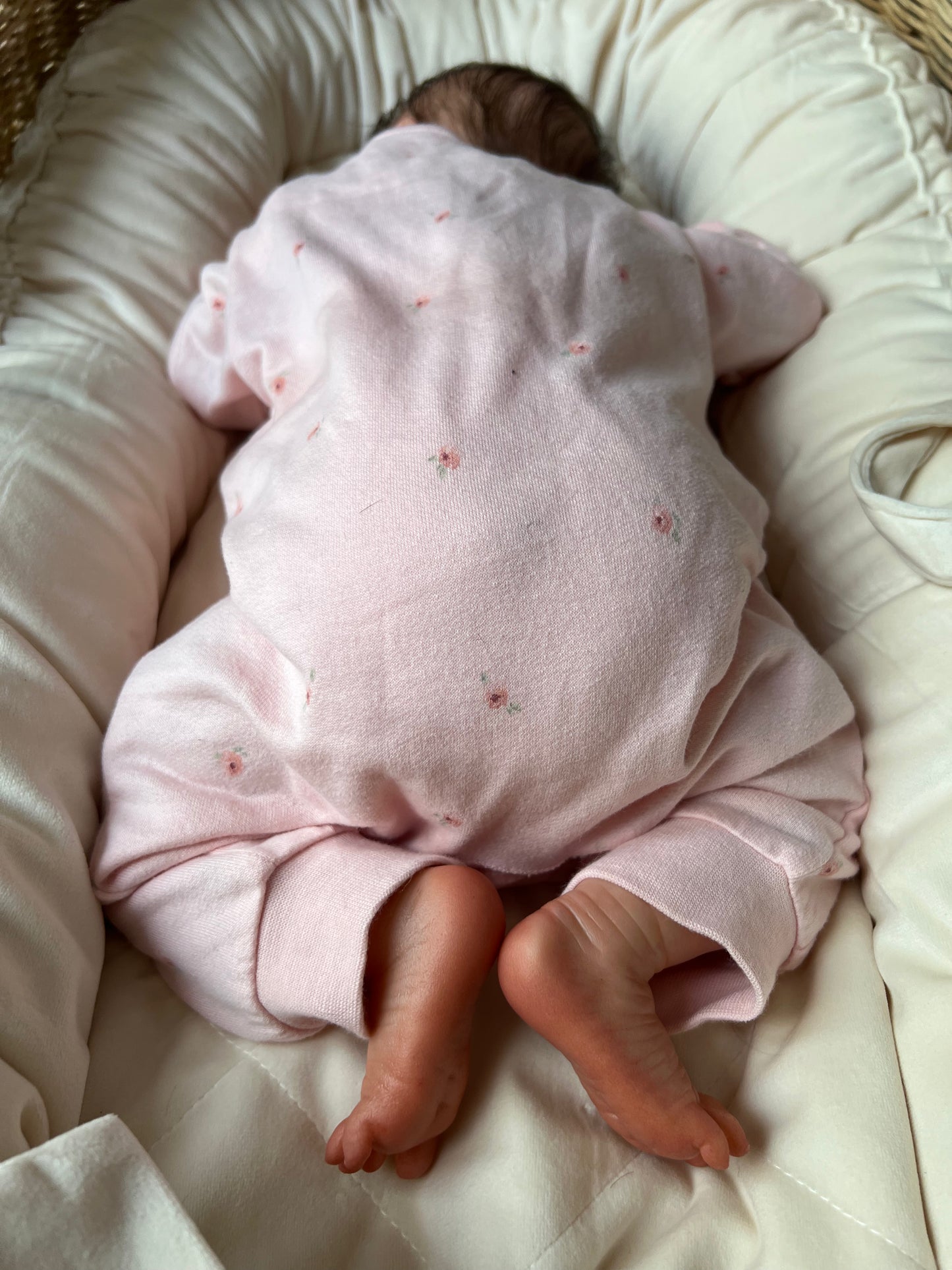 Gracie Mae – SPECIAL OFFER.