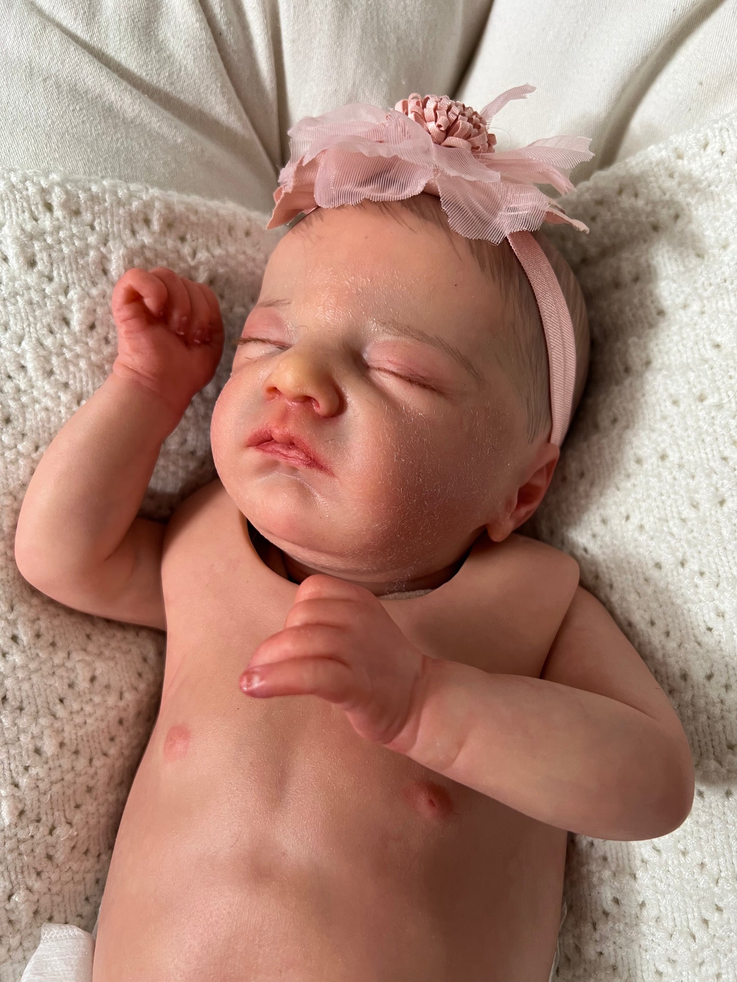 Charlotte by Laura Lee Eagles