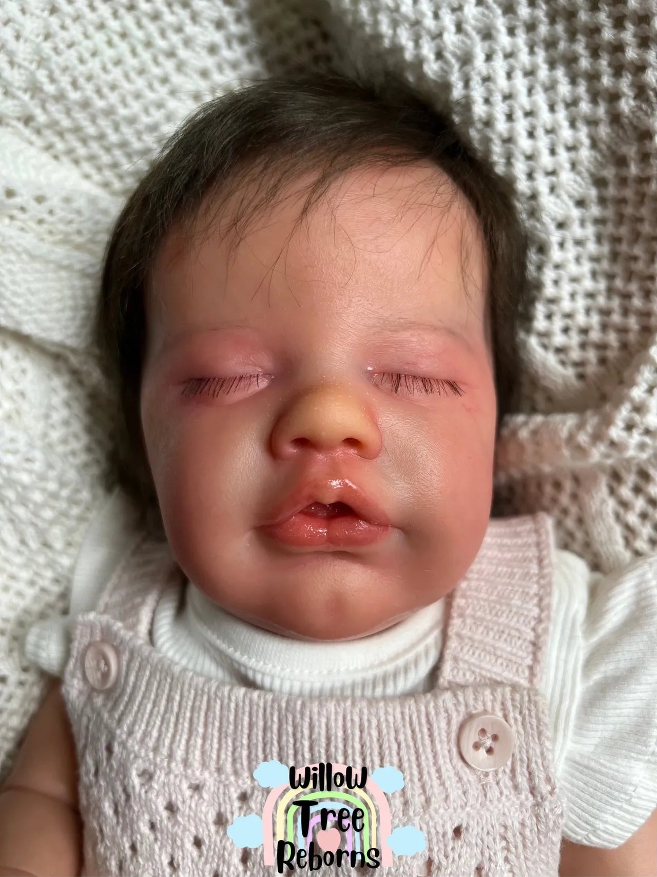 Primrose Asleep by Laura Lee Eagles